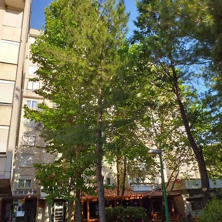 Apartman Centar *